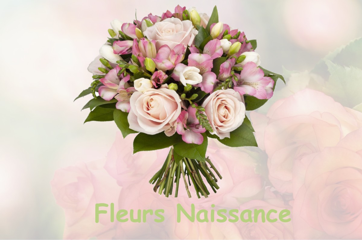 fleurs naissance MANSAT-LA-COURRIERE